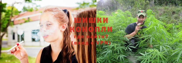 гидропоника Алексеевка