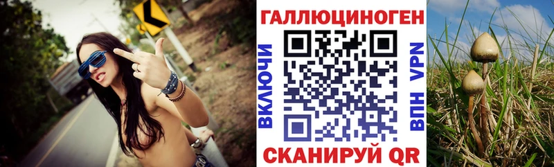 Галлюциногенные грибы Psilocybine cubensis  Мещовск 